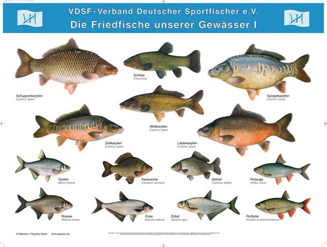 Die Natur im Blick 2025